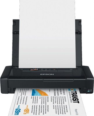 Принтер Epson WorkForce WF-100W mobile (C11CE05403) 140475 фото