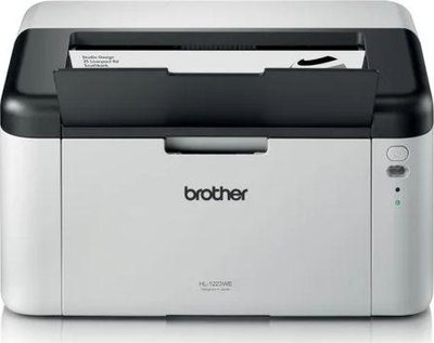 Принтер Brother HL-1223WE (HL1223WE) 470996 фото
