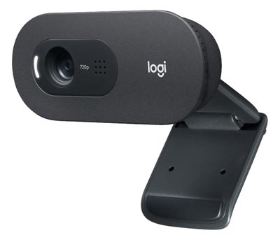 Веб-камера Logitech HD Webcam C505 (960-001364) 325491 фото