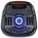 Портативные колонки Manta SPK5310Pro 353716 фото 2