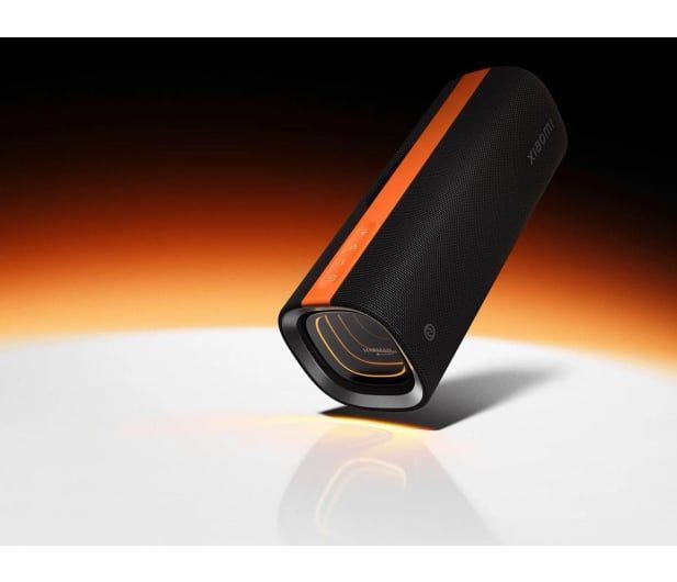 Портативная колонка Xiaomi Sound Party Black (QBH4321GL) 615929 фото