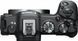 Бездзеркальний фотоапарат Canon EOS R8 body (5803C019) 532772ua фото 6