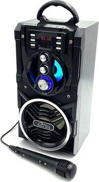 Портативная колонка Media-Tech MT3150 144307 фото