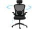 Компьютерное кресло Sandberg ErgoFusion Gaming Chair Basic Black (640-97) 526286 фото 6