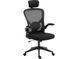 Компьютерное кресло Sandberg ErgoFusion Gaming Chair Basic Black (640-97) 526286 фото 1