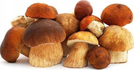 Сушка Orava SU-102 598990 фото
