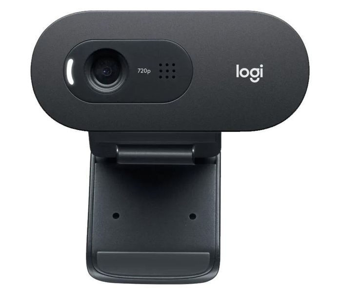 Веб-камера Logitech HD Webcam C505 (960-001364) 325491 фото