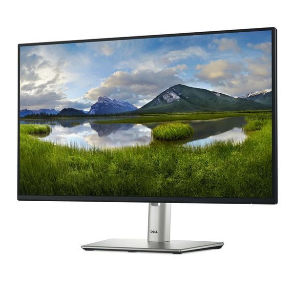 Монитор Dell P2425H (210-BMFF) 520053ua фото