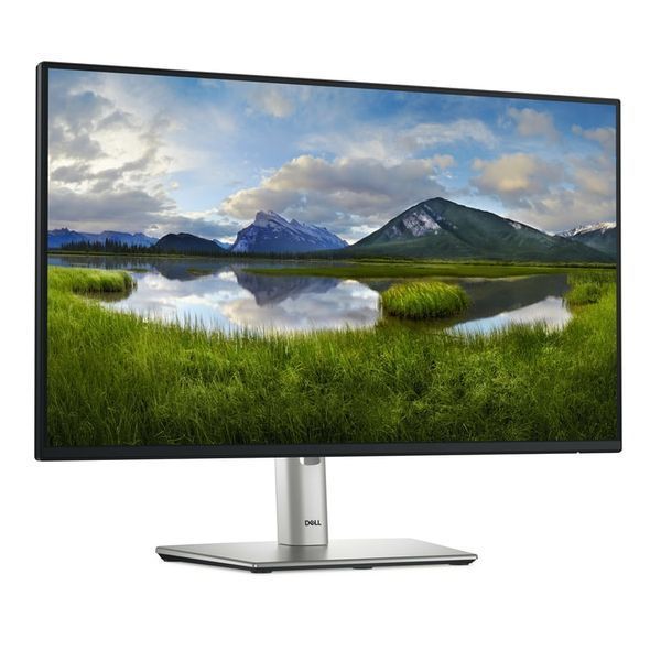 Монитор Dell P2425H (210-BMFF) 520053ua фото